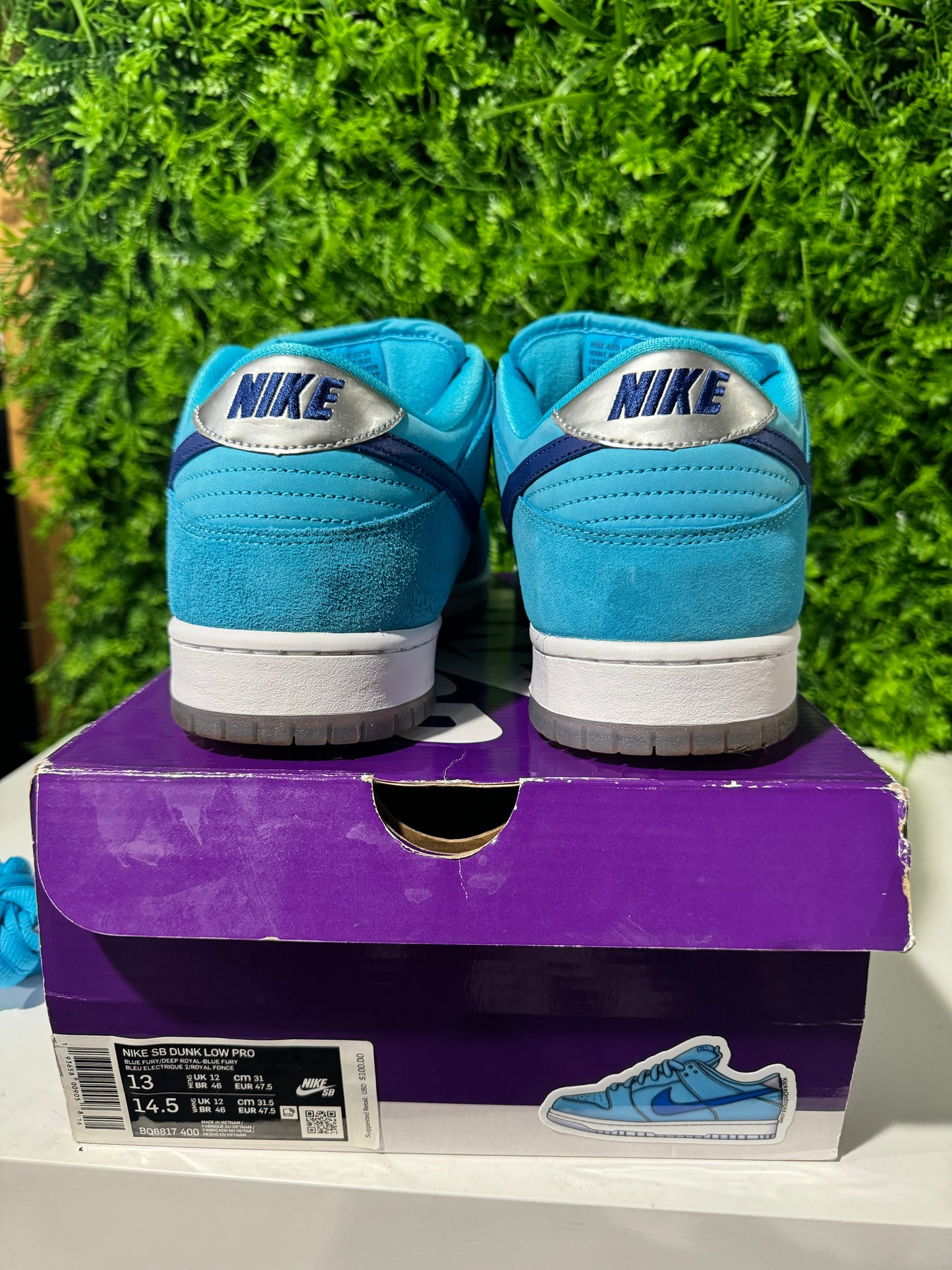 Dunk Low SB Blue Fury BQ6817-400 USED 13M OG ALL