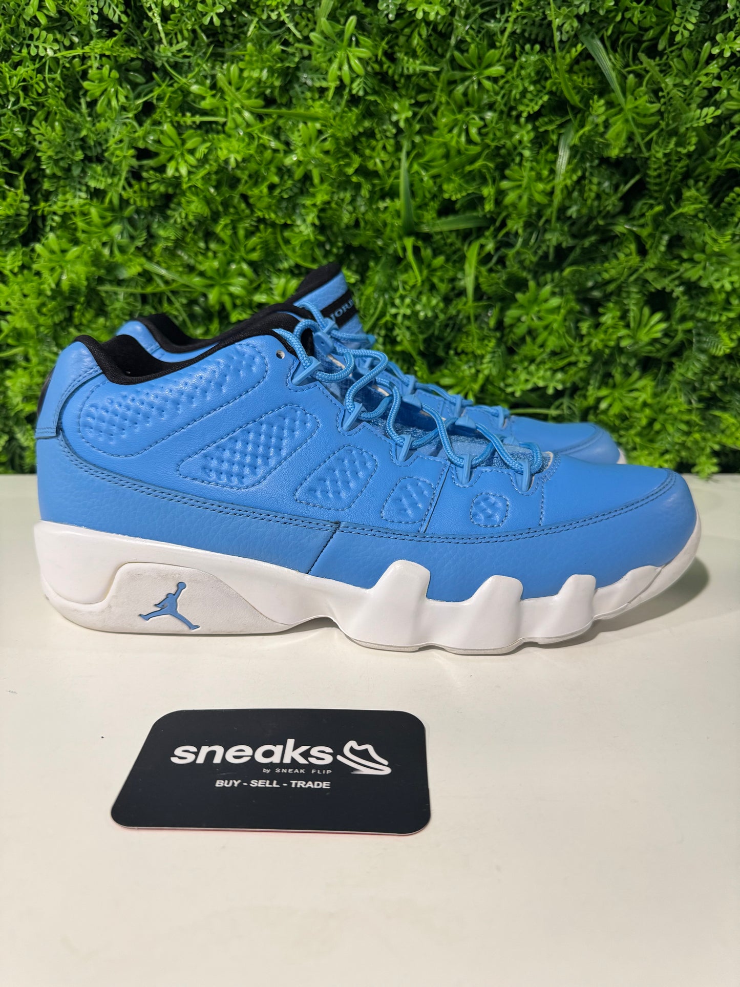 Air Jordan 9 Retro Low Pantone 832822-401 SIZE 9.5 USED NO BOX