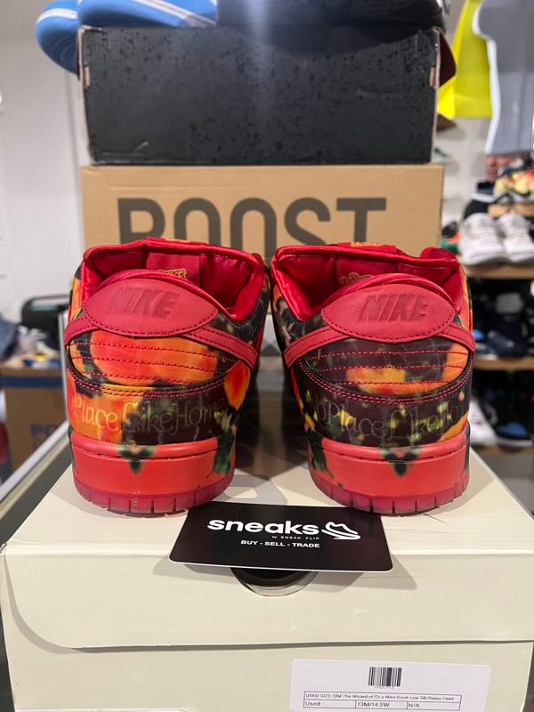 USED SIZE 13M The Wizard of Oz x Nike Dunk Low SB Poppy Field - Used