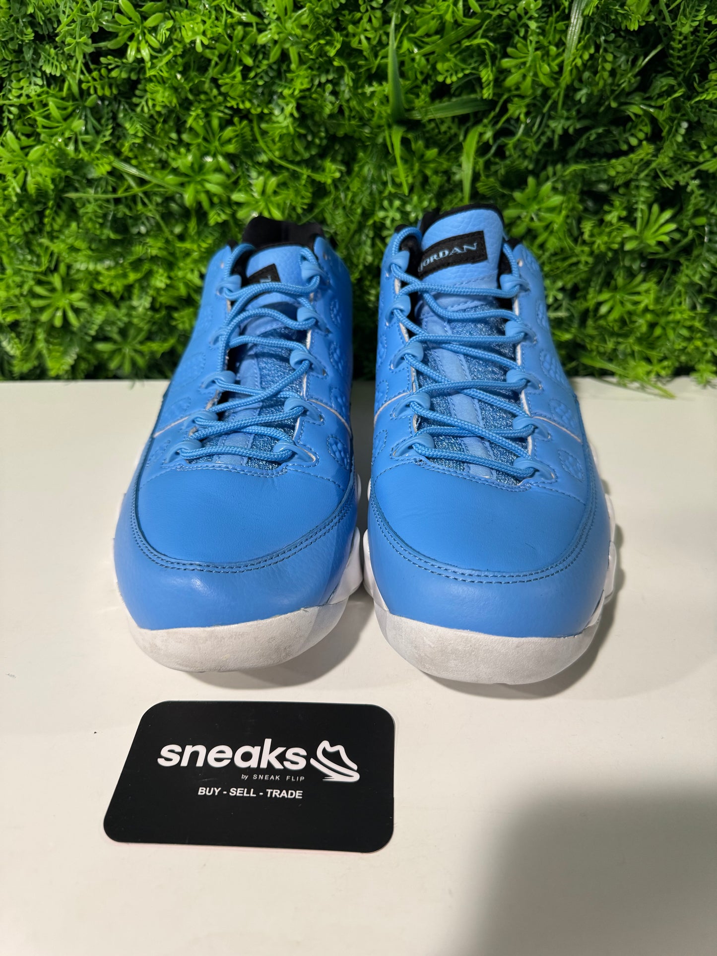 Air Jordan 9 Retro Low Pantone 832822-401 SIZE 9.5 USED NO BOX