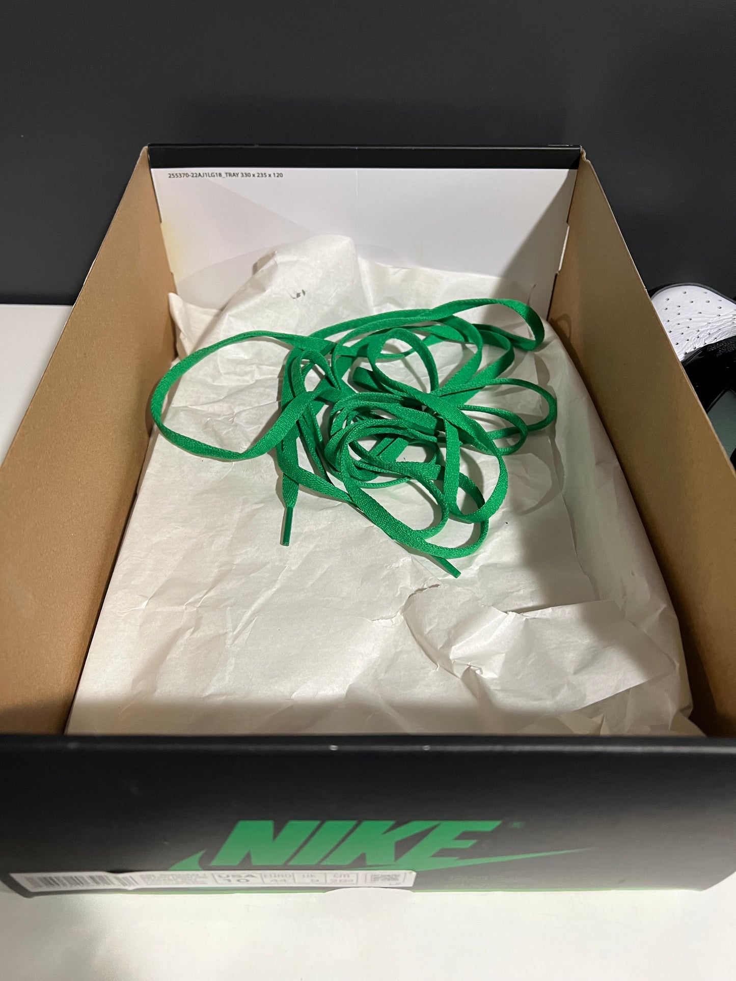 USED Air Jordan 1 Retro High OG Lucky Green DZ5485-031 SIZE 10M OG ALL AG25-49