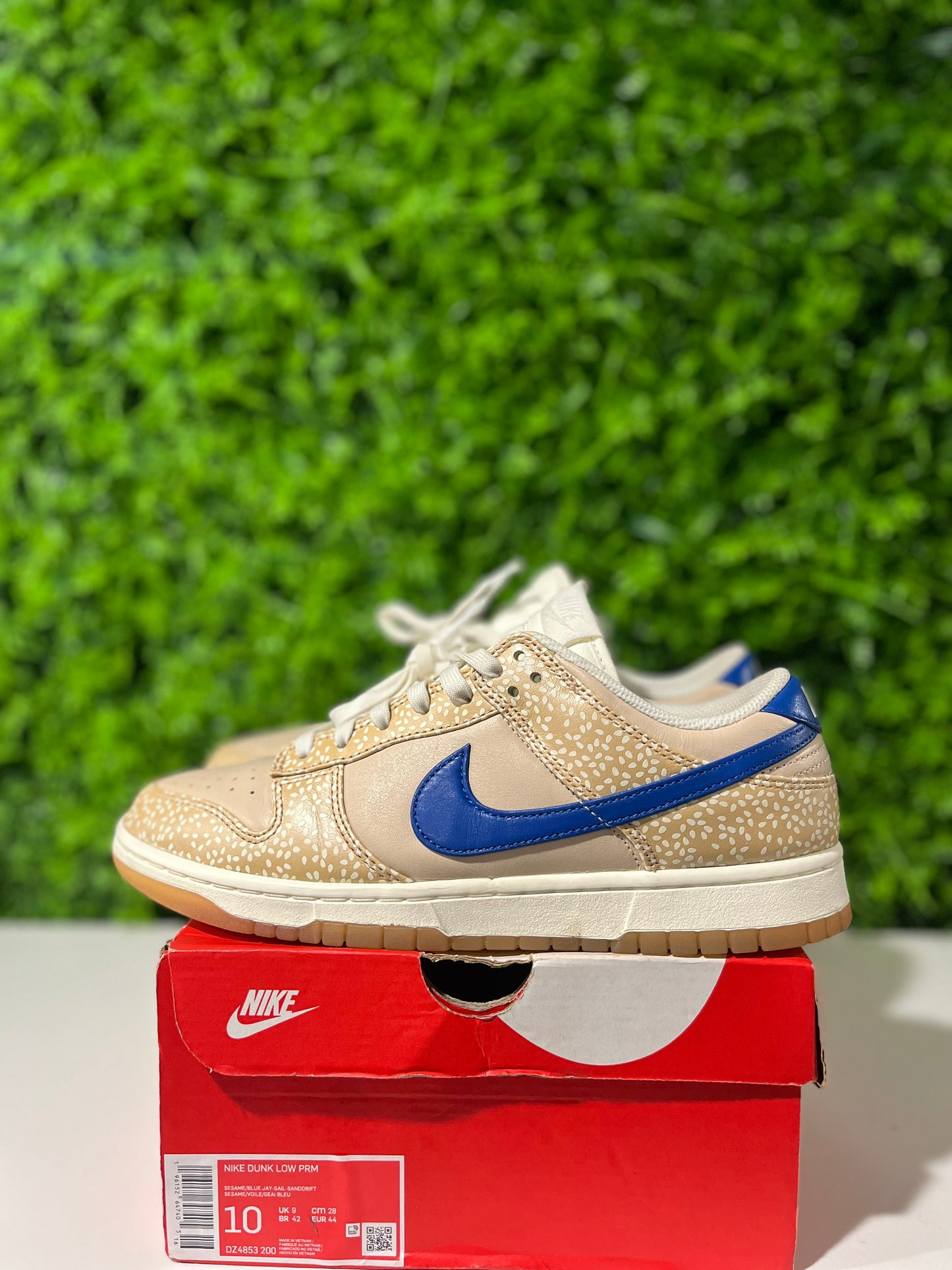 Dunk Low Premium Montreal Bagel Sesame  DZ4853-200 USED SIZE 10M OG ALL