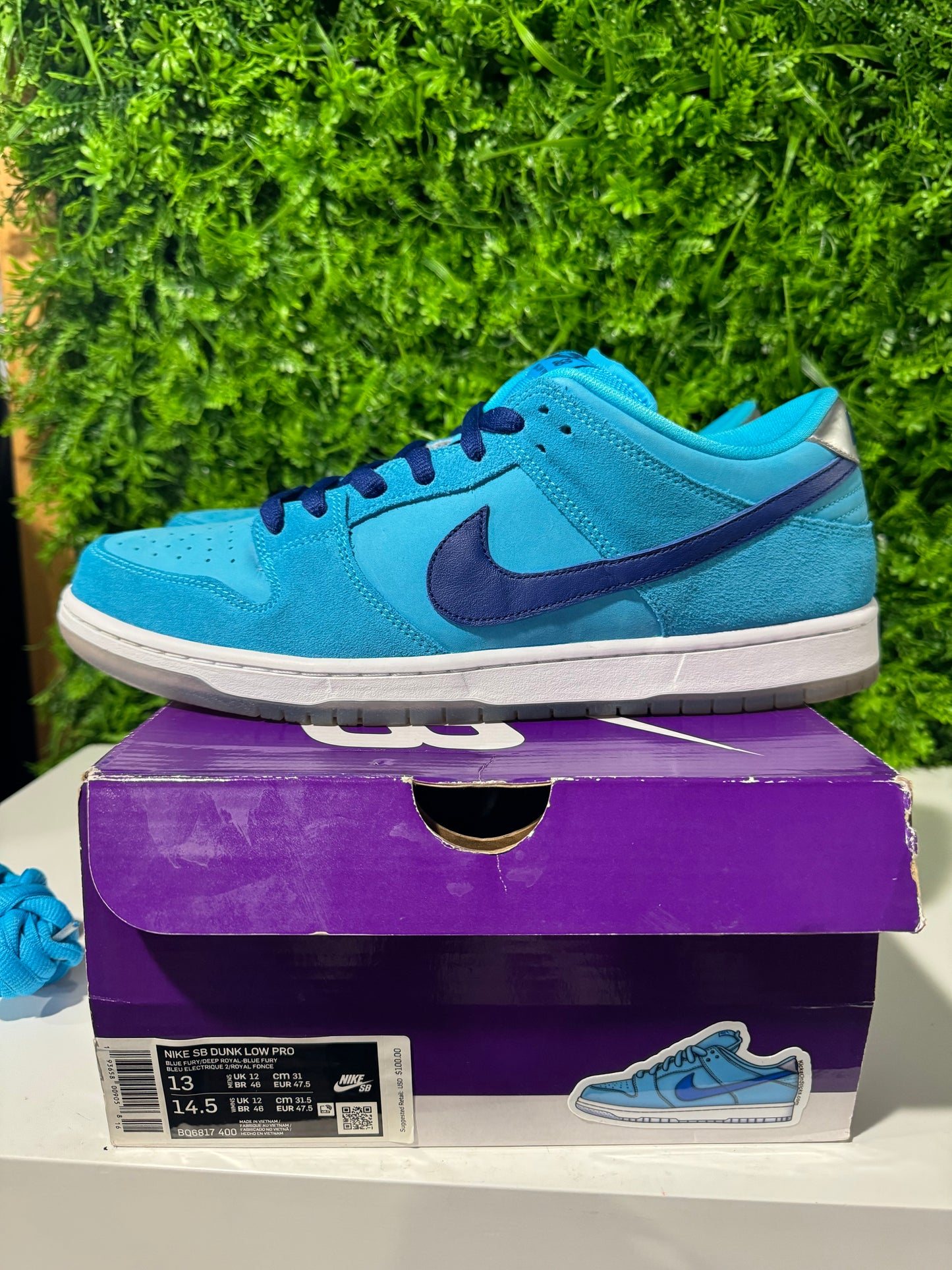 Dunk Low SB Blue Fury BQ6817-400 USED 13M OG ALL