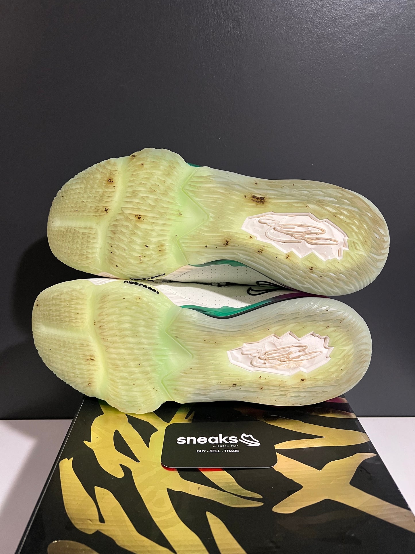USED LeBron 17 Low Glow In The Dark CD5007-005 SIZE 11M OG ALL JY25-190