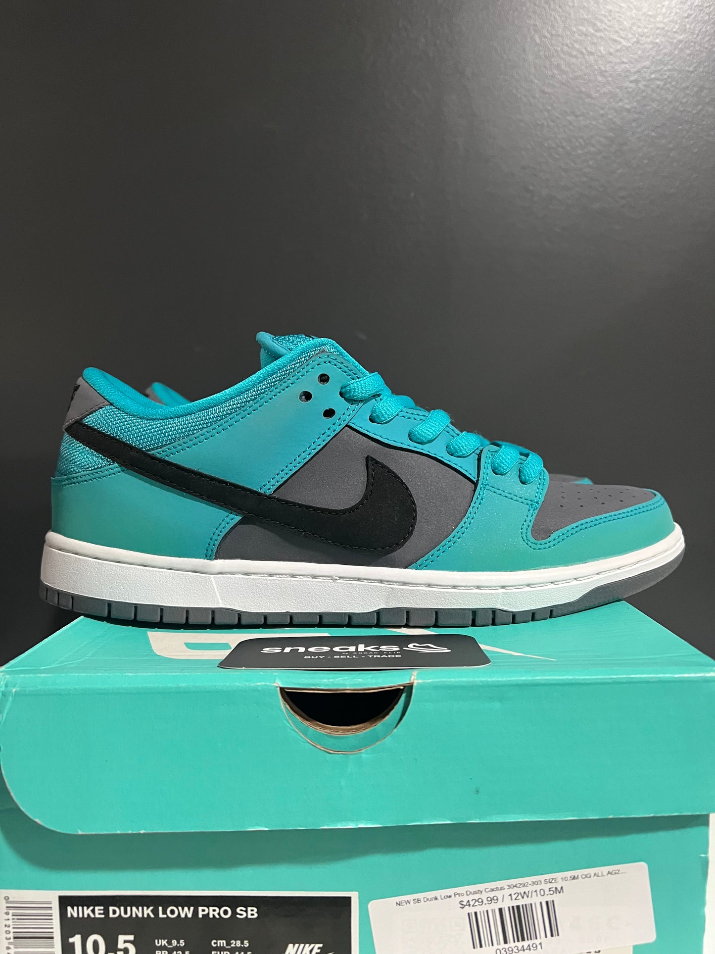 NEW SB Dunk Low Pro Dusty Cactus 304292-303 SIZE 10.5M OG ALL AG25-181