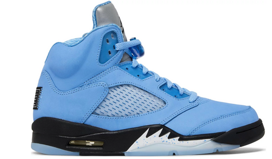 Air Jordan 5 Retro SE UNC DV1310-401