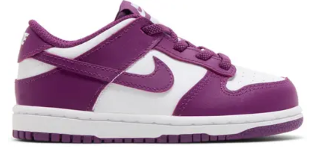 NEW Dunk Low TD Viotech White FB9107-110 SIZE 7C OG ALL JN25-263