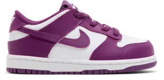 NEW Dunk Low TD Viotech White FB9107-110 SIZE 7C OG ALL JN25-263