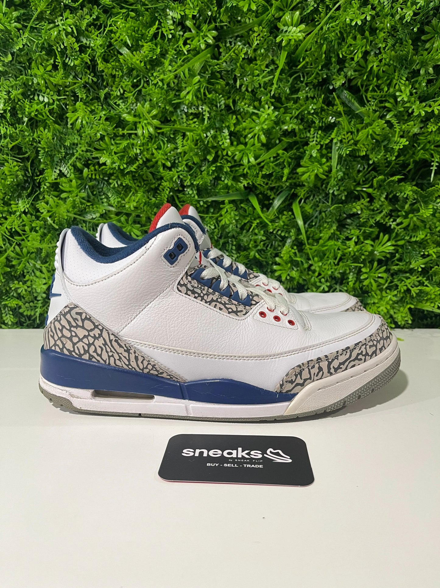 Jordan 3 Retro True Blue (2016) - Used
