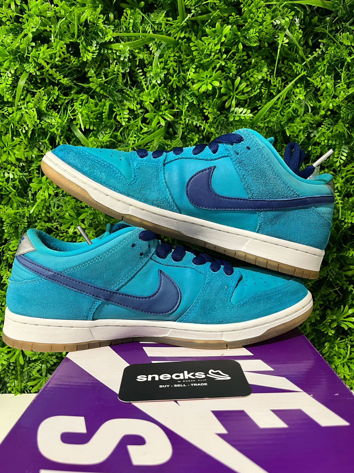 Nike SB Dunk Low Pro Blue Fury - Used