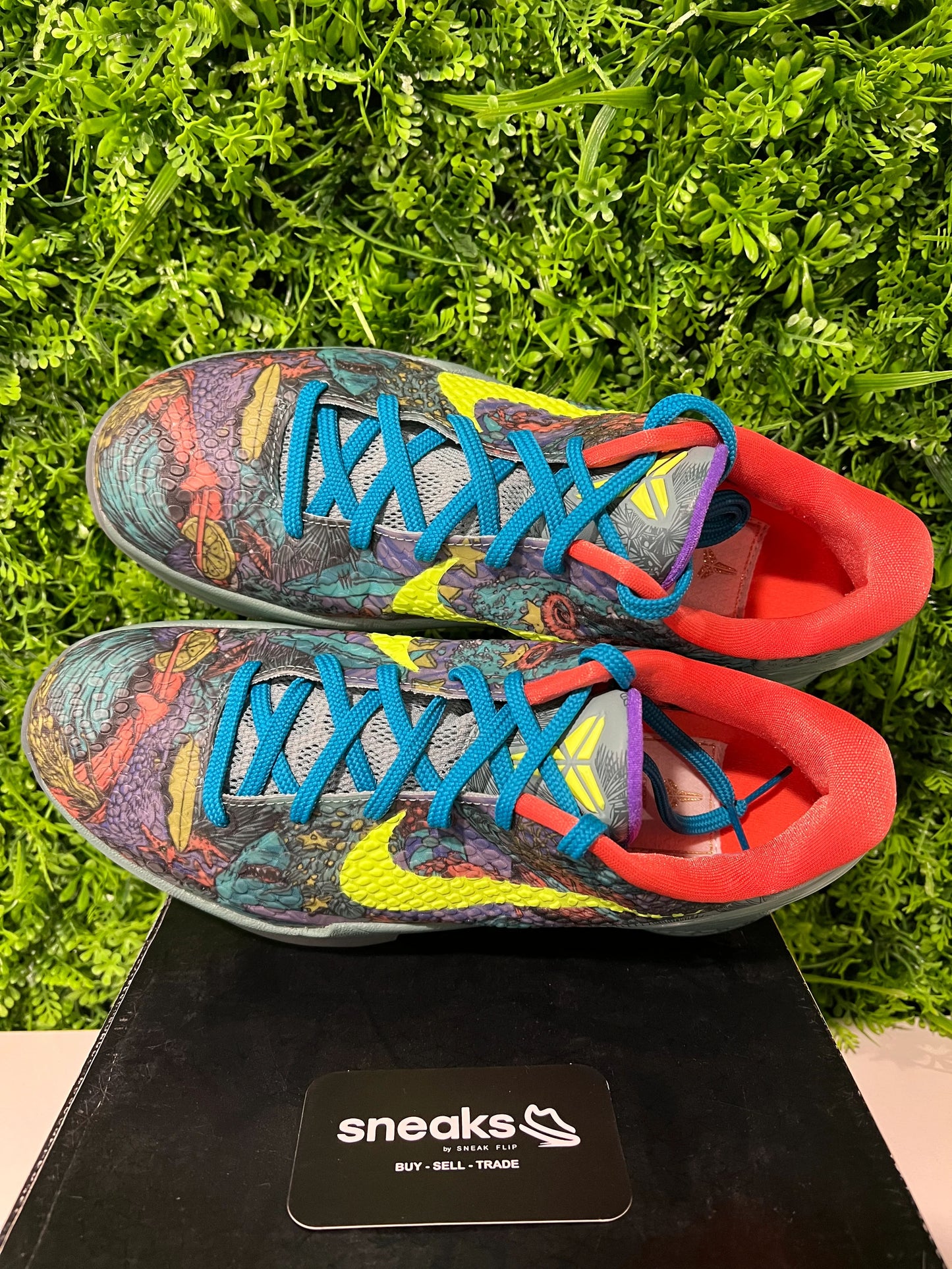 Nike Kobe 6 Prelude All-Star MVP - Used