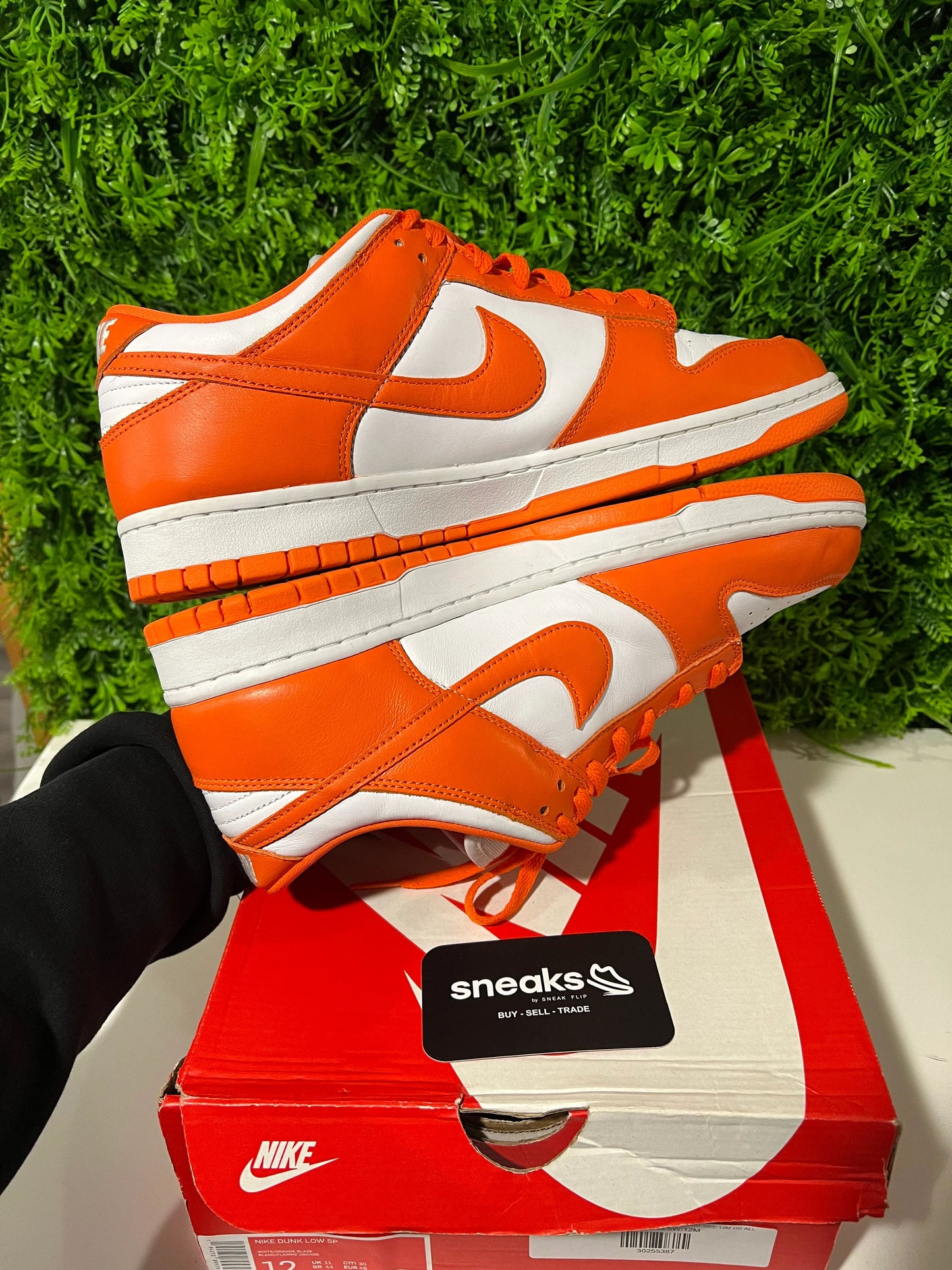 Nike Dunk Low SP Syracuse - Used